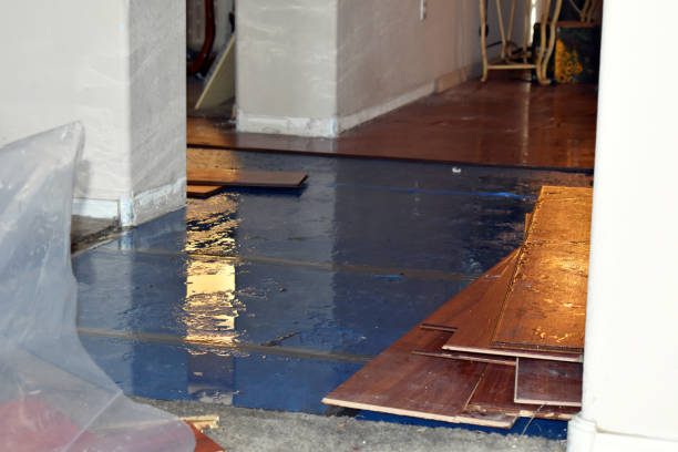 Professional Burst Pipe Cleanup technician working in Afton, TN